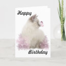 Buscar mullido tarjetas Gato