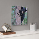 Buscar amantes naturaleza de relojes de pared Bosque