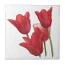 Buscar tulipanes rojos azulejos Acuarela