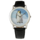 Buscar pingüino relojes antártica