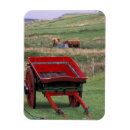 Buscar isla de skye imanes Jecan de gavriel