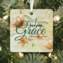 Buscar libélulas adornos Insecto