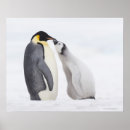 Buscar cuerpo completo posters Longitud completa