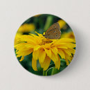 Buscar mariposas y polillas chapas Jardín