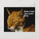 Buscar descanso postales General y unisex