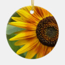 Buscar girasol adornos Jardín