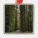 Buscar california adornos Destinos del viaje