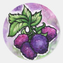 Buscar frambuesa pegatinas Morado