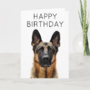Buscar del pastor tarjetas de cumpleaños Perro
