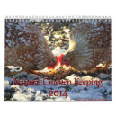 Buscar pollo calendarios Polluelo