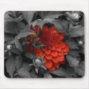Buscar dalias alfombrillas de raton Rojo