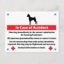 Buscar accidentes postales Emergencia