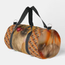 Buscar siamés bolsos 9 º gata