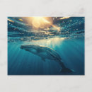 Buscar ballena azul postales Animal