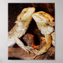 Buscar herp posters Lagarto