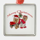 Buscar muérdago adornos Santa