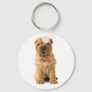 Buscar sharpei llaveros Cachorro