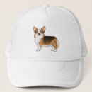 Buscar corgi gorras Canino