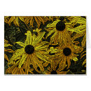 Buscar rudbeckia tarjetas Susán de ojos negros