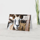 Buscar cabra vieja tarjetas Envejecer