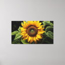 Buscar colores vivos lienzos Naturaleza