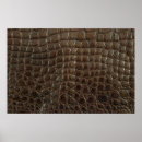 Buscar croc posters Cocodrilo
