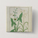 Buscar medicinal chapas Robinet