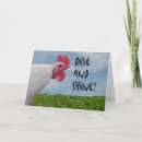 Buscar pollos tarjetas Divertido