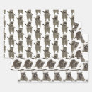 Buscar mapaches papel de regalo Para todos