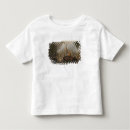 Buscar pagoda camisetas Lejos