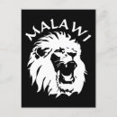 Buscar león postales Lion