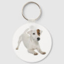 Buscar jack russell llaveros Puppy