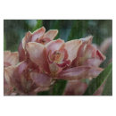 Buscar orquídeas tablas cortar Naturaleza