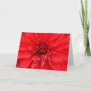 Buscar dali tarjetas Rojo