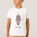 Buscar cucaracha ropa Insectos