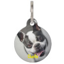 Buscar terrier collares Para mascotas