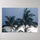 Buscar estado de jalisco posters Playa