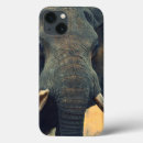 Buscar safari ipad fundas África