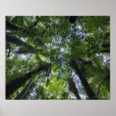 Buscar toldos posters Horizontal