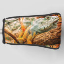 Buscar iguanas Reptiles