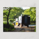 Buscar vida en el campo postales General y unisex