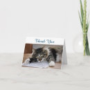 Buscar gato siberiano tarjetas Para todos