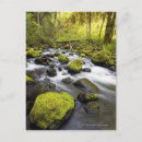 Buscar agua borrosa postales Vertical