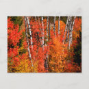 Buscar acero postales Otoño