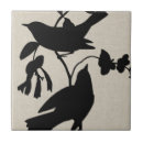 Buscar audubon azulejos Animales