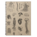 Buscar corazón humano cuadernos Vintage