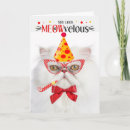 Buscar gato persa blanco tarjetas Gatos