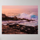 Buscar poipu posters Tropical
