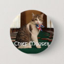 Buscar perro chapas Gato