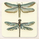 Buscar insecto cristaleria bar Animales